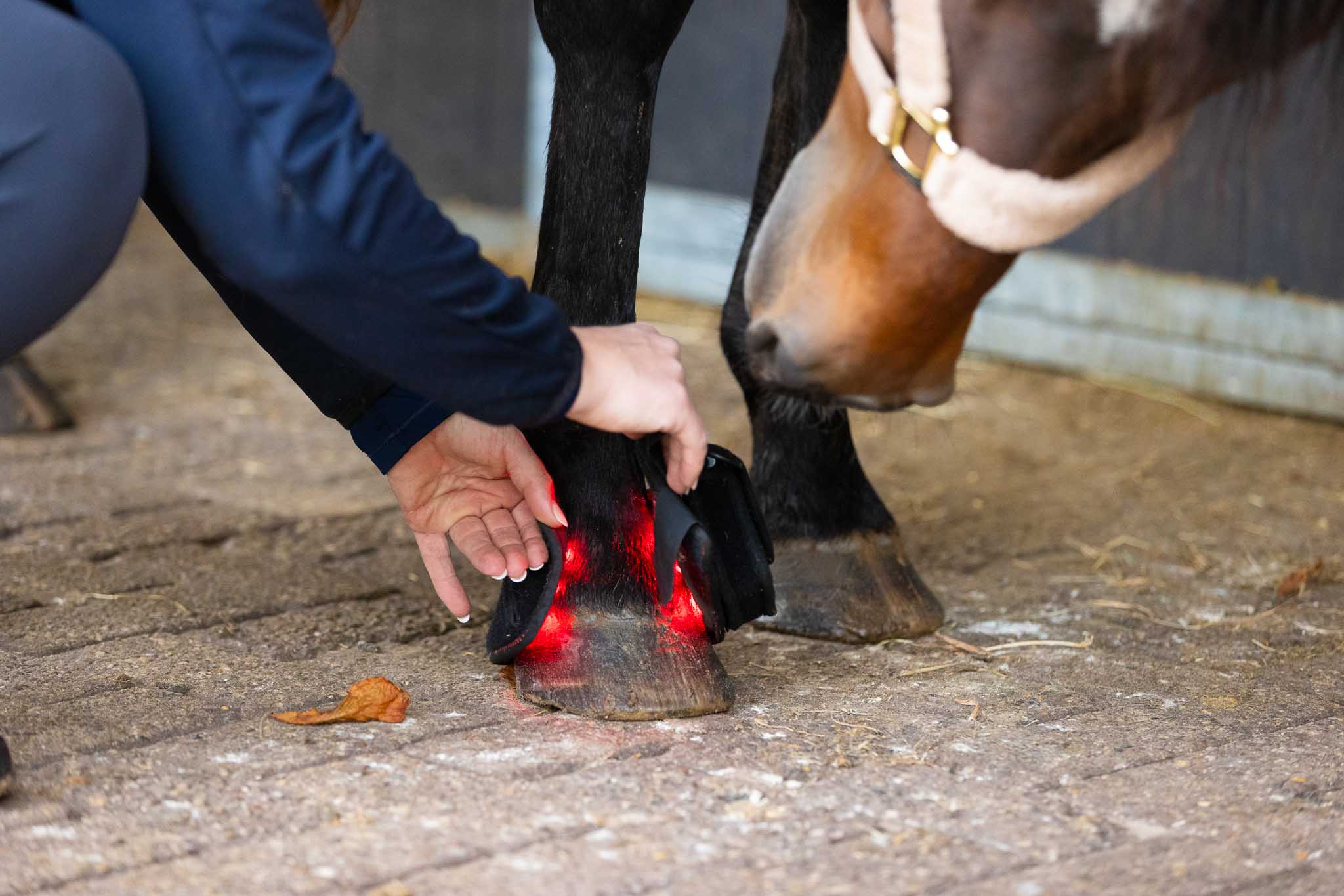 CellKick roodlicht therapie
