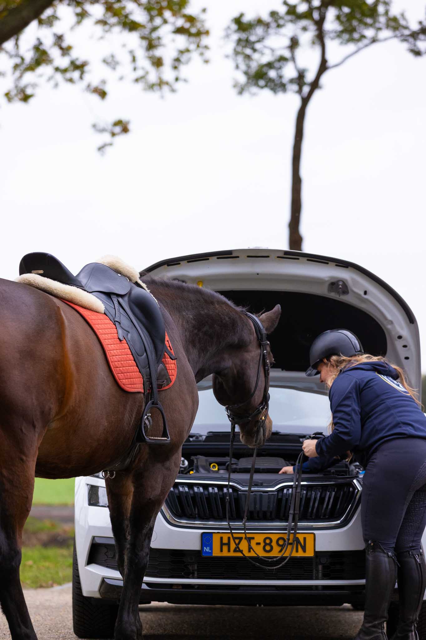 Centropix kloud magneetveld therapie