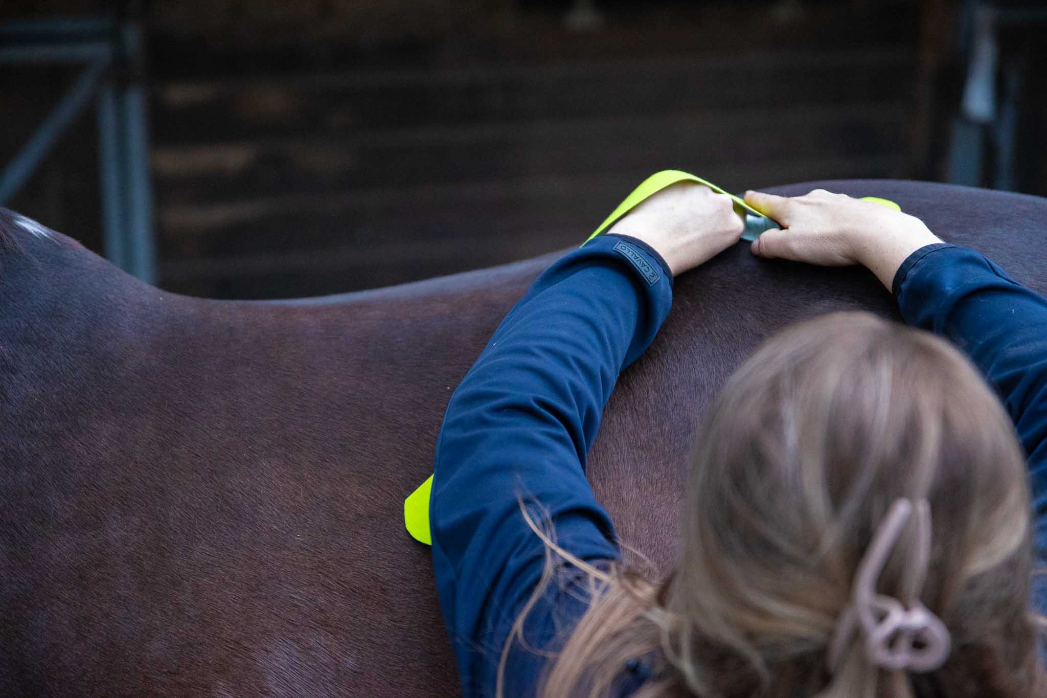 holistisch paardentherapeut
