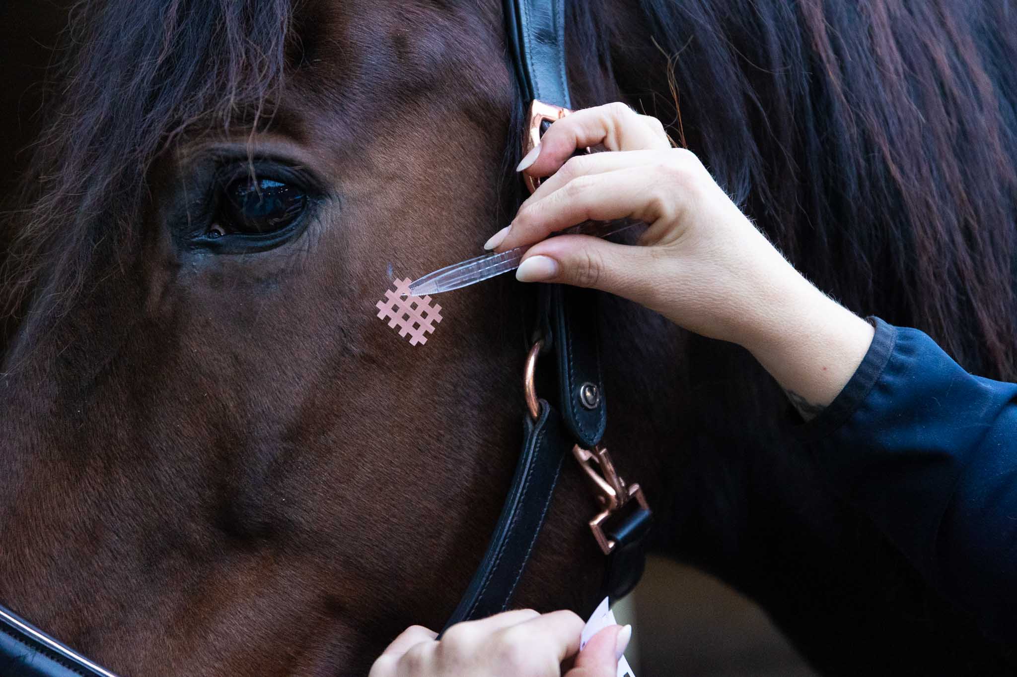 Centropix kloud magneetveld therapie