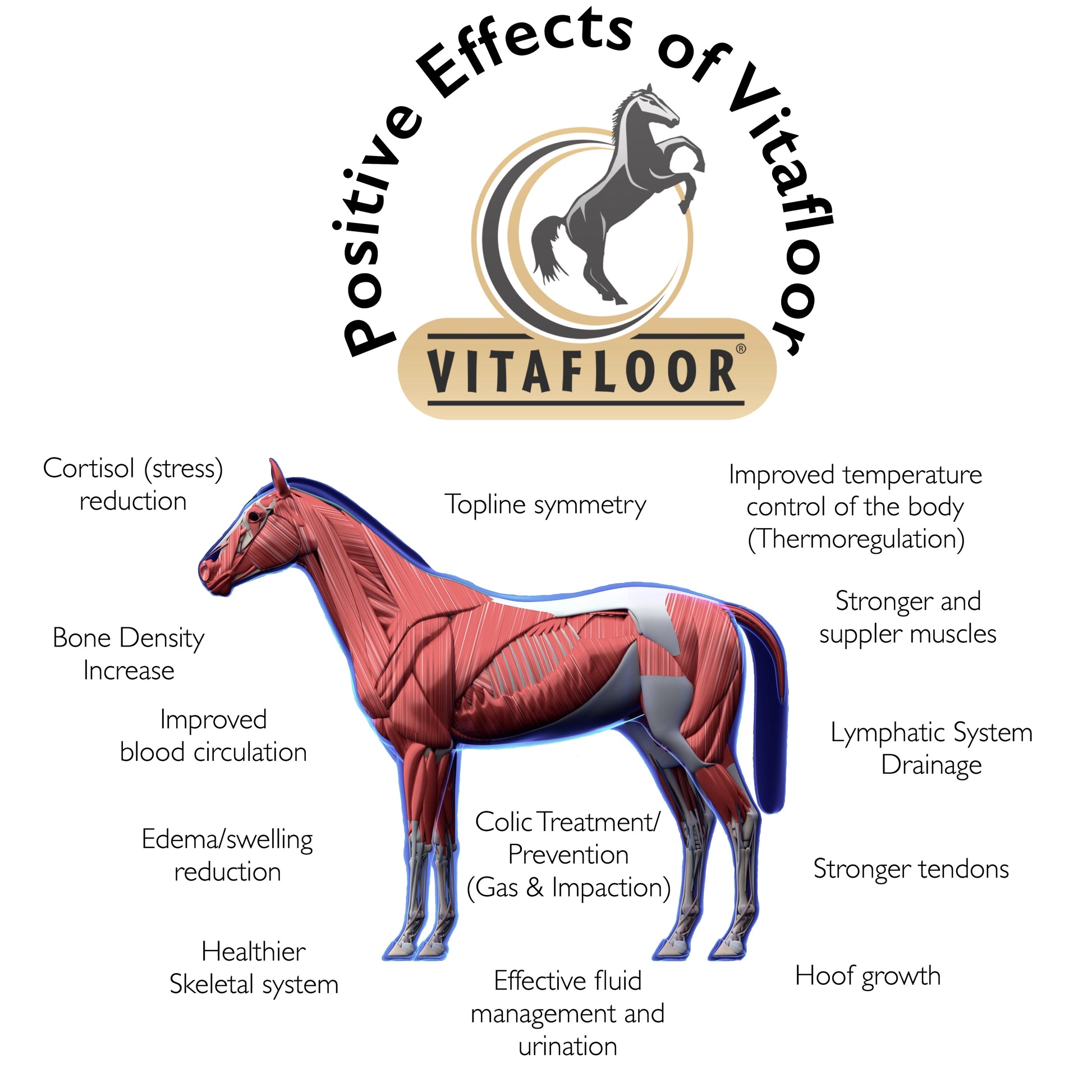 Vitafloor